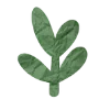🌿
