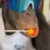 😎