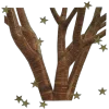 🌟