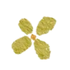 🌼
