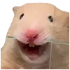 😄