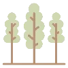 🌳