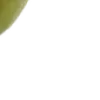 🐸