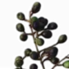 😪
