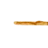 〰️