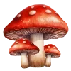 🍄