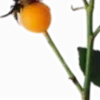 🧑