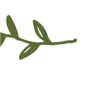 🌱