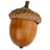 🐿️