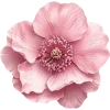 🌸