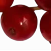 🫀