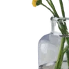 🌼