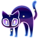 🐈‍⬛