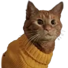🐈