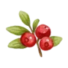 🍒