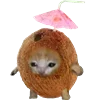 🥥