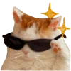 😎