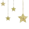 🌟