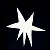 🌟
