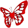 🦋