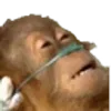 😵