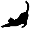 🐈‍⬛