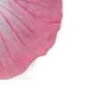🌸