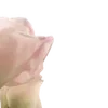 🪷