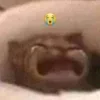 😭