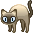 🐈‍⬛