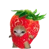 🍓