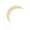 🌑