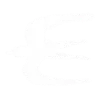 🪿