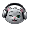 🎧
