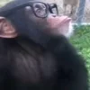 🤓