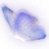🦋