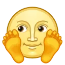 🌝