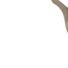 🪷