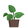 🍀