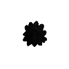 🌑
