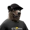 🐻