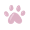 🐾