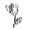 🌷