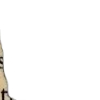 🤎