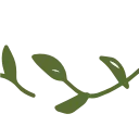 🌱