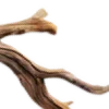 🪵