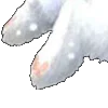 ⭐