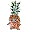 🍍