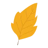 🍂