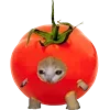 🍅